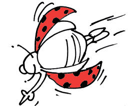 Boddha, dessins satyriques, caricatures, illustrations et autres gribouillis, presse, débat, conf, Liège